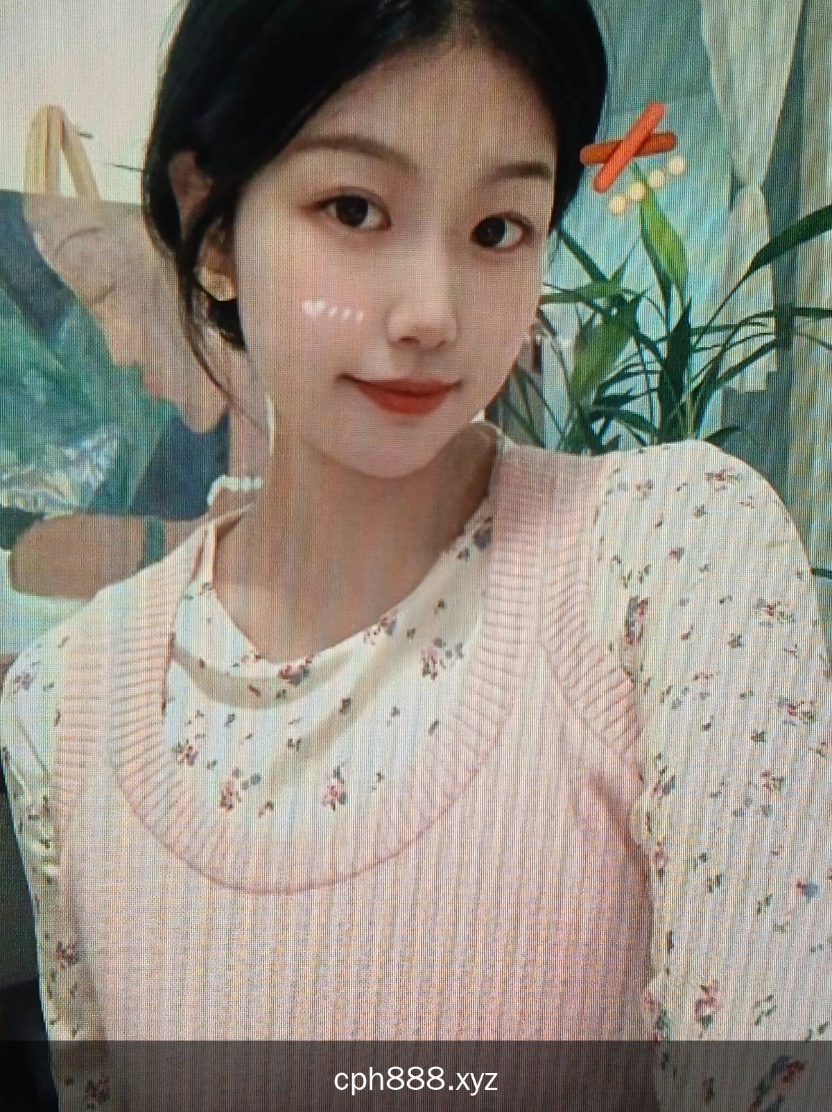 精彩照片