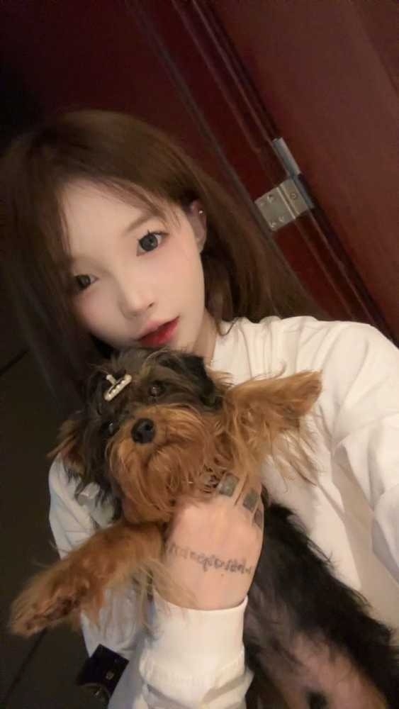 精彩照片