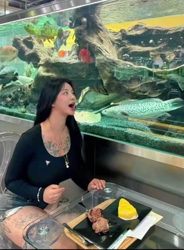 精彩照片
