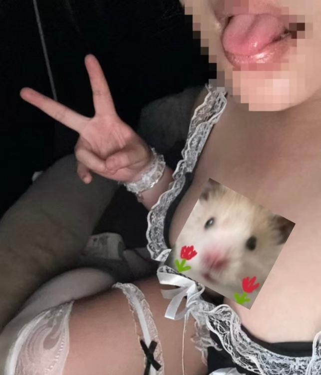 精彩照片