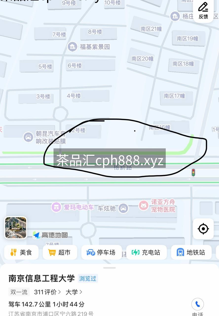 精彩照片